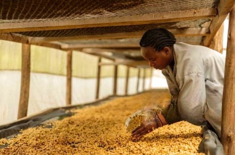 Best Way to Do Eco and Agriculture